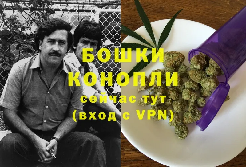 Каннабис Bruce Banner  Гулькевичи 